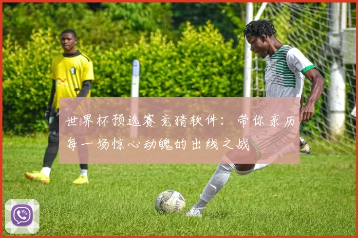 世界杯预选赛竞猜软件:带你亲历每一场惊心动魄的出线之战