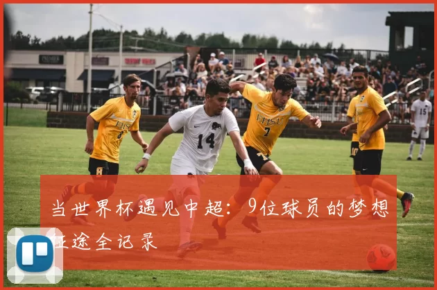 当世界杯遇见中超:9位球员的梦想征途全记录