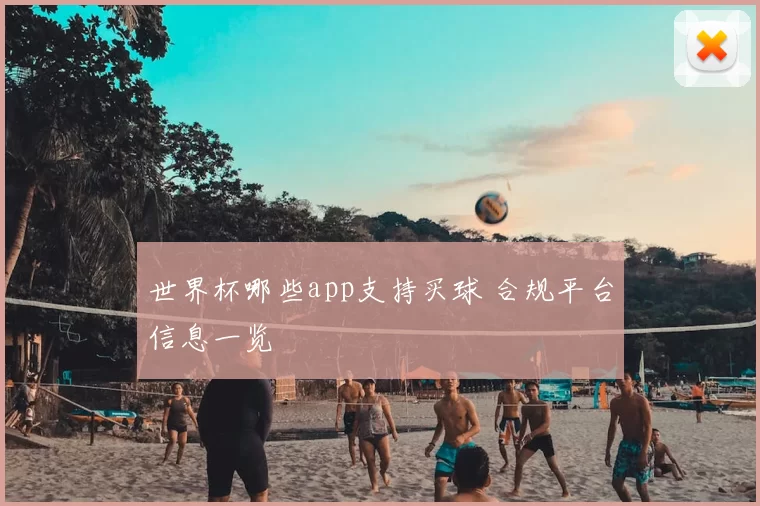 世界杯哪些app支持买球 合规平台信息一览