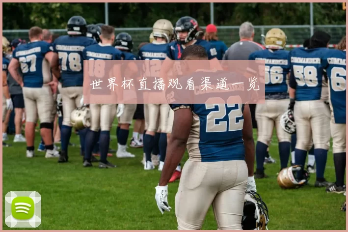 世界杯直播观看渠道一览