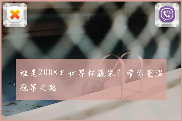 谁是2008年世界杯赢家?带你重温冠军之路