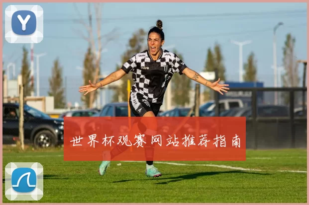 世界杯观赛网站推荐指南