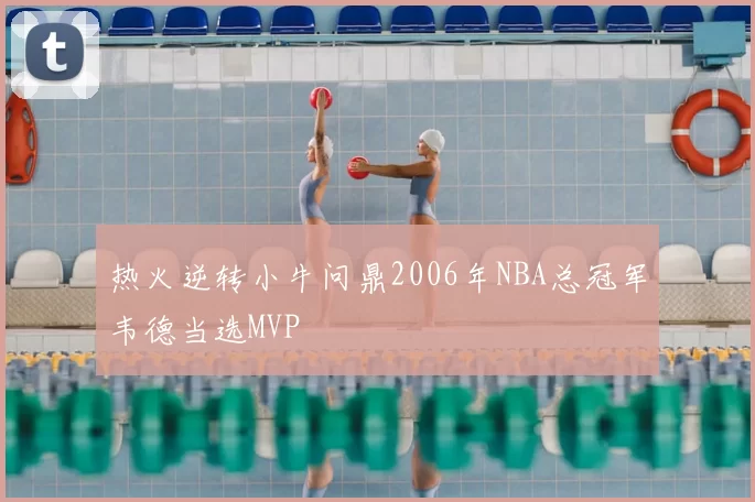 热火逆转小牛问鼎2006年NBA总冠军韦德当选MVP