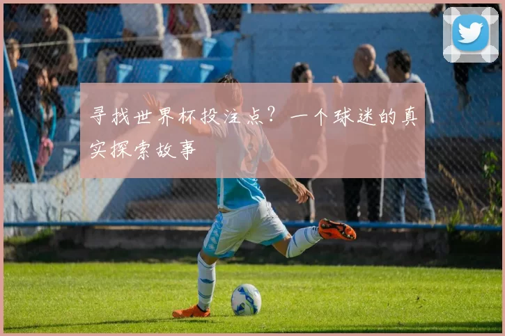 寻找世界杯投注点?一个球迷的真实探索故事