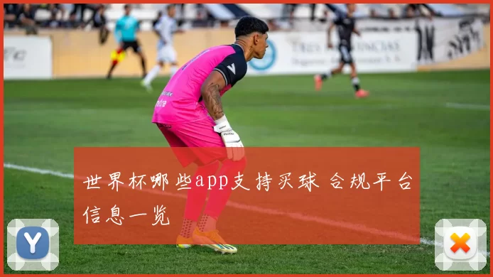 世界杯哪些app支持买球 合规平台信息一览