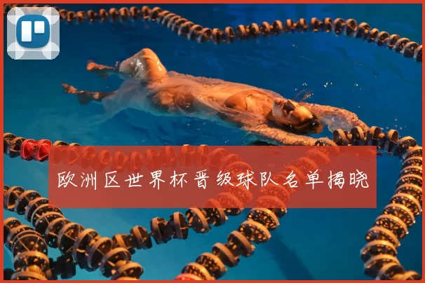 欧洲区世界杯晋级球队名单揭晓