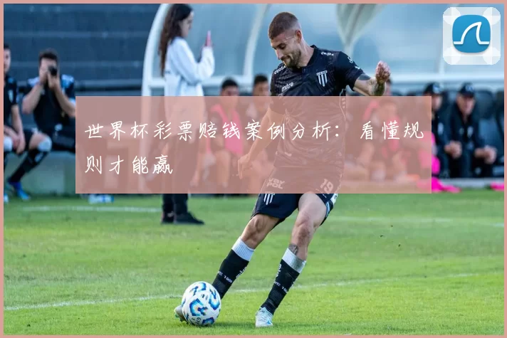 世界杯彩票赔钱案例分析：看懂规则才能赢
