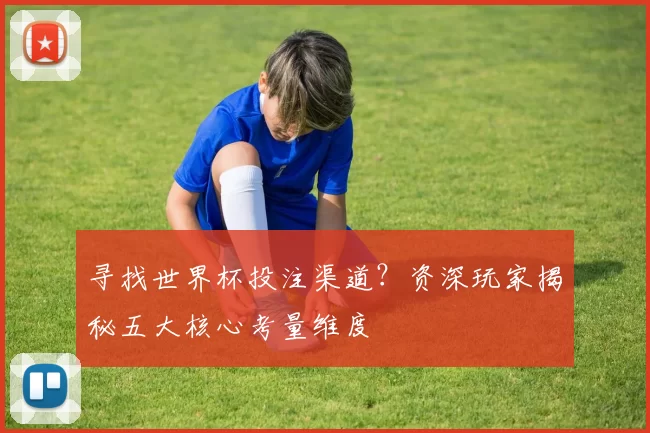 寻找世界杯投注渠道?资深玩家揭秘五大核心考量维度