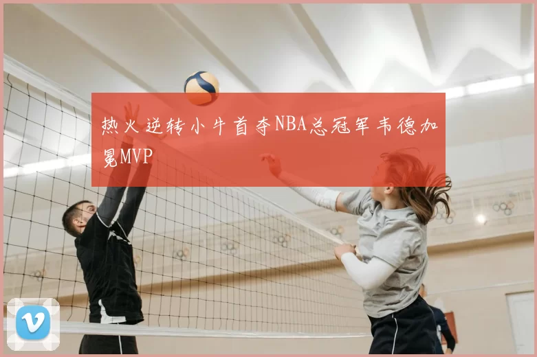 热火逆转小牛首夺NBA总冠军韦德加冕MVP