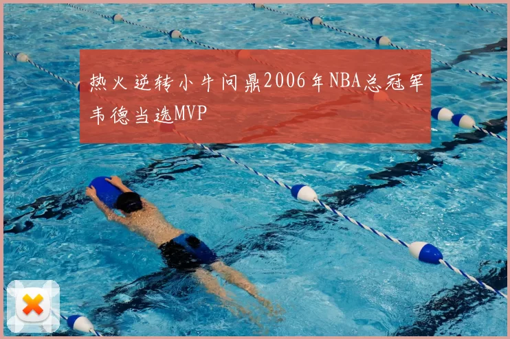 热火逆转小牛问鼎2006年NBA总冠军韦德当选MVP