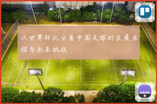 从世界杯比分看中国足球的发展历程与未来挑战